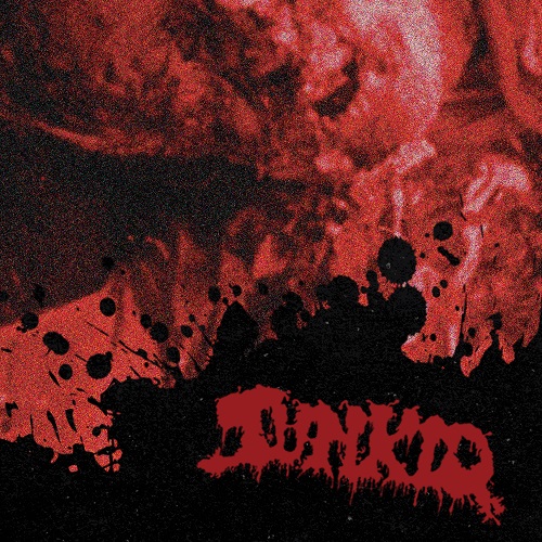 Album 13
